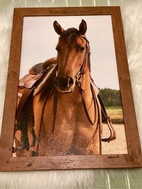 Framed Horse Portrait Wall Art - Brown Horse Print